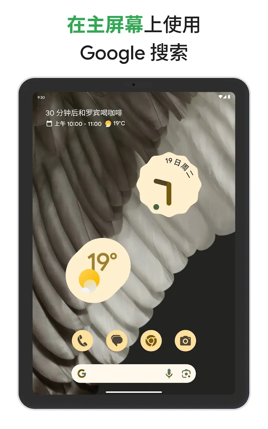 在主屏幕上使用Google搜索